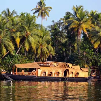 Golden Triangle Tour with Kerala 7 Nights 8 days