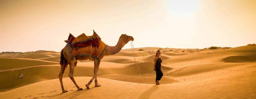 Golden Triangle Tour With Desert Safari