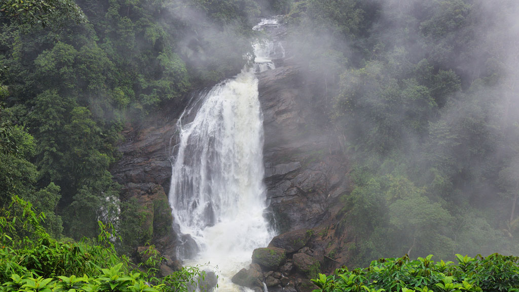 Kerala Calling: A 3 Nights & 4 Days Escape to Munnar & Thekkady