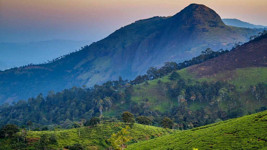 Kerala Blis 3 Nights & 4 Days