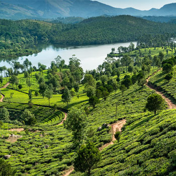Kerala Tour