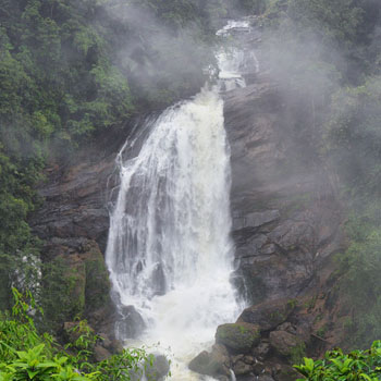 Kerala Tour