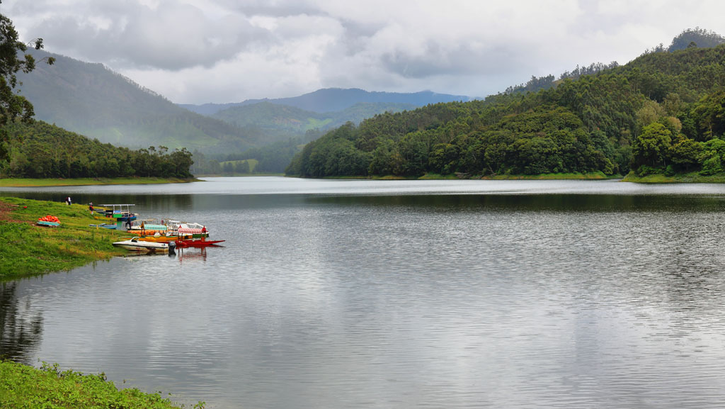 Kerala Calling: A 3 Nights & 4 Days Escape to Munnar & Thekkady