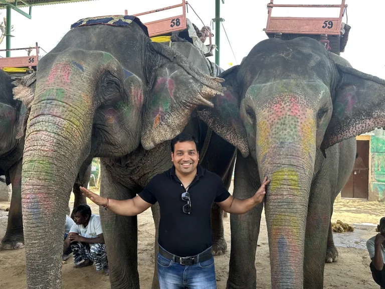 A traveller with two decorated elephants in India
