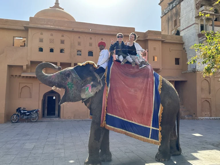 Travellers on a decorated elephant at Amber Fort, Jaipur