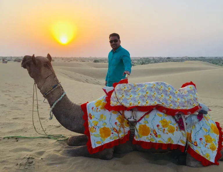 Camel at sunset in the Rajasthan desert near Jaipur