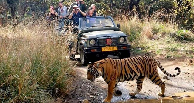 Golden Triangle Tour Extensions: Ranthambore, Varanasi or Amritsar